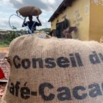 IVORY COAST : Foreign cocoa exporter success fuels local discontent