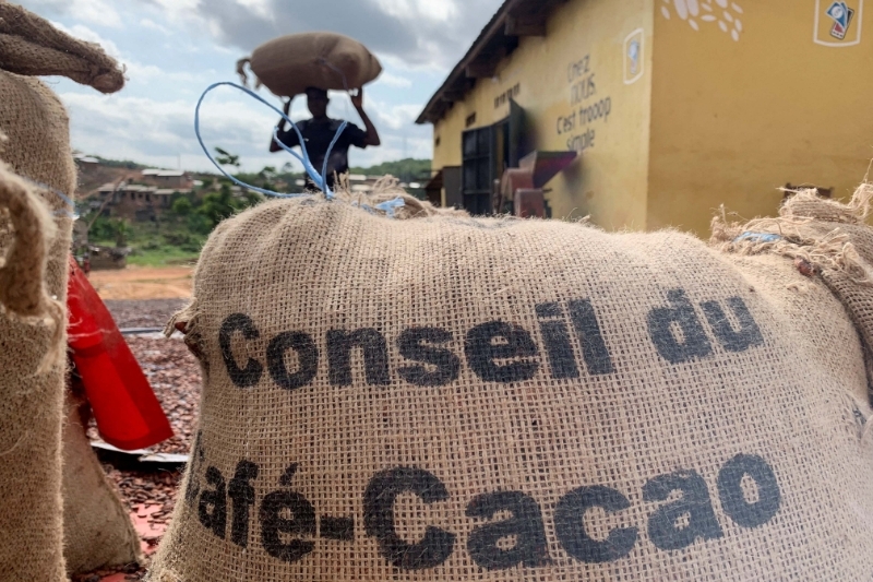 IVORY COAST : Foreign cocoa exporter success fuels local discontent