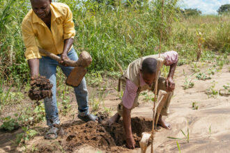 Meet the Climate Hackers of Malawi