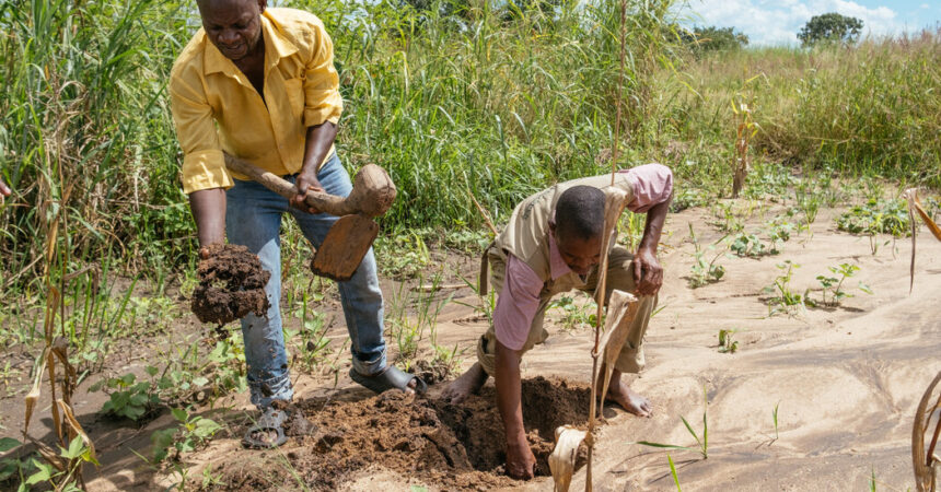 Meet the Climate Hackers of Malawi