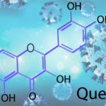 Two Studies Test Quercetin And COVID Outcomes