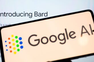 What Bard said when Google VC asked AI about value of work diversity