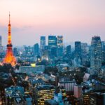 High angle view of Tokyo skyline at dusk, Japan