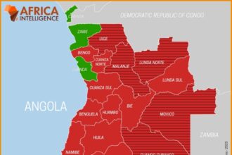 ANGOLA : Lourenço aims to undercut UNITA by redrawing provincial boundaries