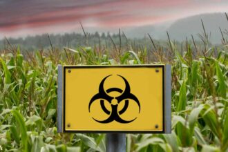 Biowarfare Through the Food Supply