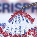 CRISPR Gene Editing Can Trigger Tumors, Two Studies Warn