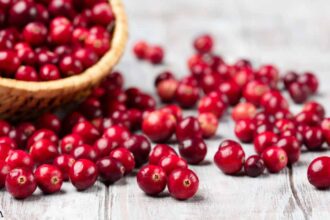 Cranberries Can Reduce Risk for Urinary Tract Infections