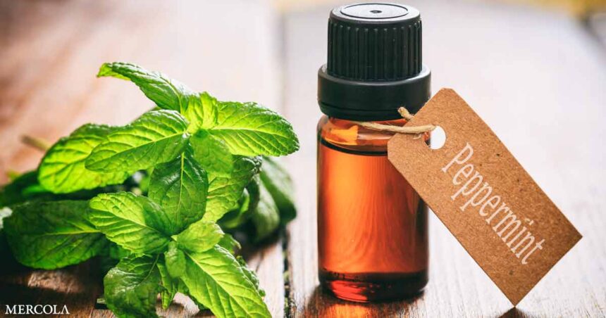 Does Peppermint Oil Work for Irritable Bowel Syndrome?