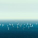 Dutch claim international first as North Sea offshore wind farms powered down to protect migratory birds