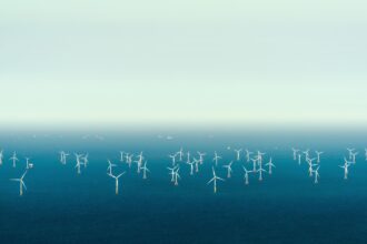 Dutch claim international first as North Sea offshore wind farms powered down to protect migratory birds