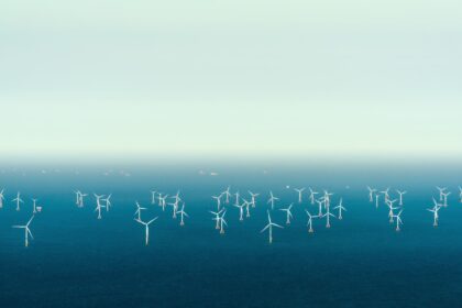 Dutch claim international first as North Sea offshore wind farms powered down to protect migratory birds