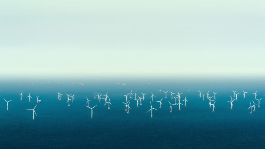 Dutch claim international first as North Sea offshore wind farms powered down to protect migratory birds