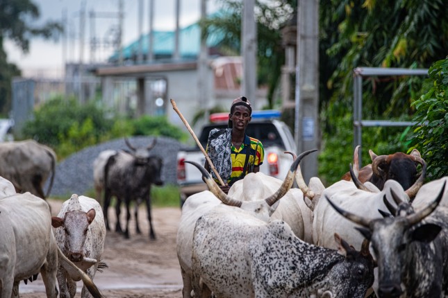 Lekki,,Lagos,,Nigeria,-,September,18th,2021:,A,Young,Fulani