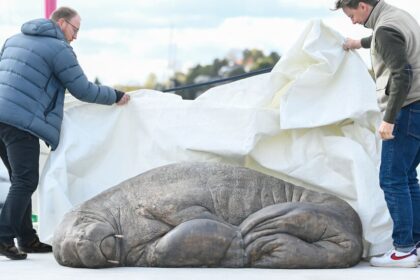 Freya, the Walrus Killed by Norwegian Officials, Is Immortalized as a Sculpture