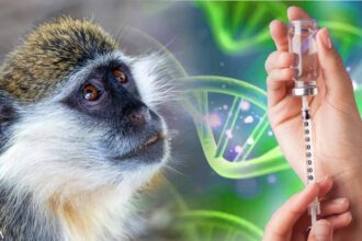 Green Monkey DNA Found in COVID-19 Shots