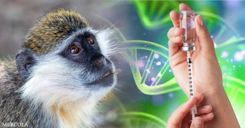 Green Monkey DNA Found in COVID-19 Shots