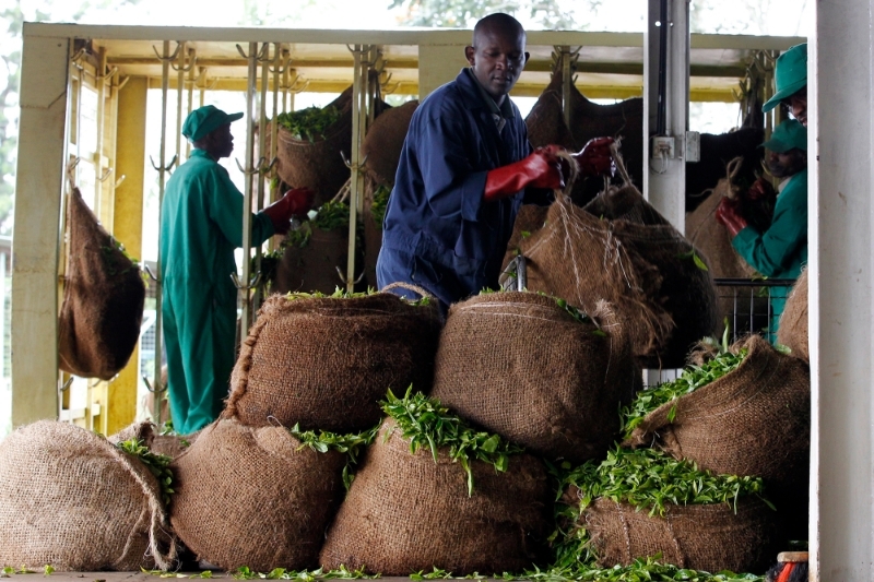 KENYA/TANZANIA : Kenya fears losing key regional tea-trading role