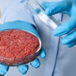 Lab-Grown Meat Is 25 Times Worse for the Environment