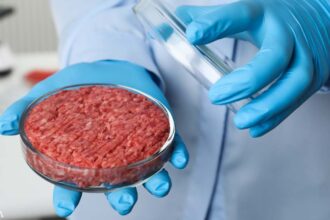 Lab-Grown Meat Is 25 Times Worse for the Environment