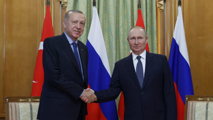 Putin congratulates 'dear friend' Erdogan as NATO's Turkey challenge looks set to stay