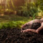 Regenerative Agriculture - The Next Big Thing