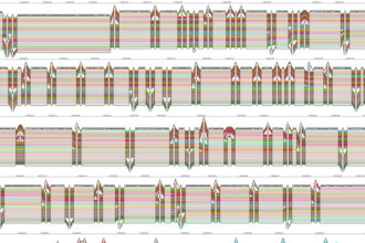 Scientists Unveil a More Diverse Human Genome