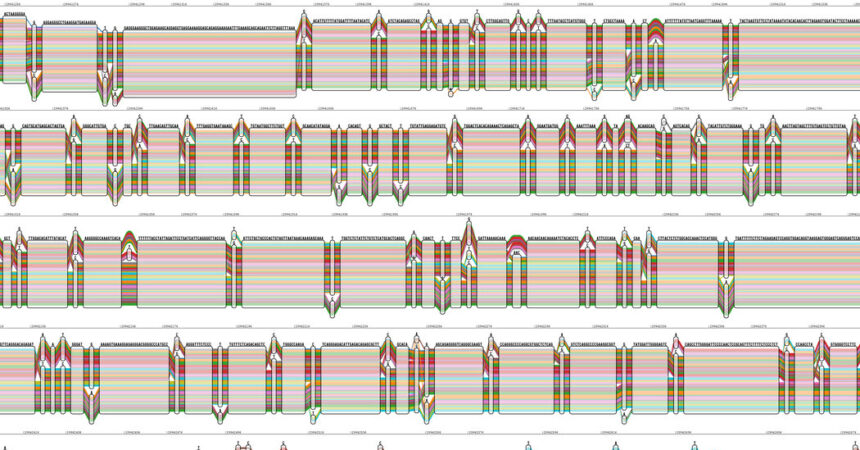 Scientists Unveil a More Diverse Human Genome