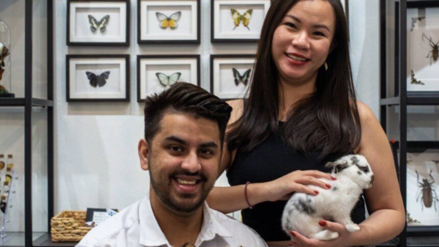 Singapore millennials run taxidermy business to bring 5 figures a month