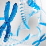 The Telomere Scam