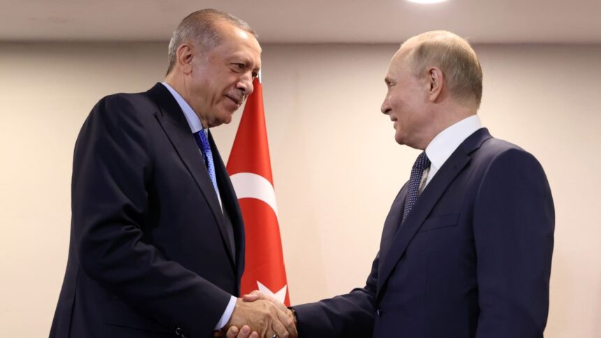 Turkey's Erdogan touts 'special relationship' with Putin