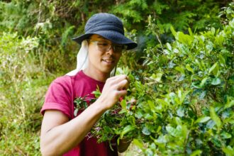 Want to buy a cheap house in rural Japan? This millennial farmer offers his advice