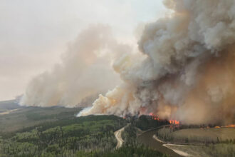 Wildfires Burn Nearly 1 Million Acres in Western Canada