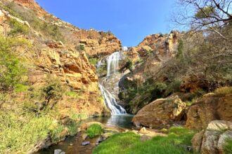 12 things to do at Walter Sisulu Botanical Garden