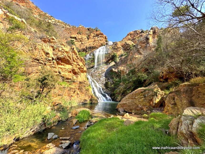 12 things to do at Walter Sisulu Botanical Garden