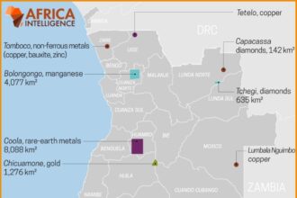 ANGOLA : Lourenço's associates find a rich seam in rare earths, copper, manganese and gold