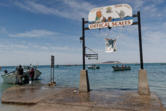 Arizona, Low on Water, Weighs Taking It From the Sea. In Mexico.