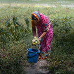 Bangladesh Offers a Glimpse of the Water Crises of Tomorrow