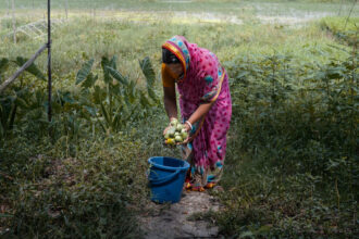 Bangladesh Offers a Glimpse of the Water Crises of Tomorrow