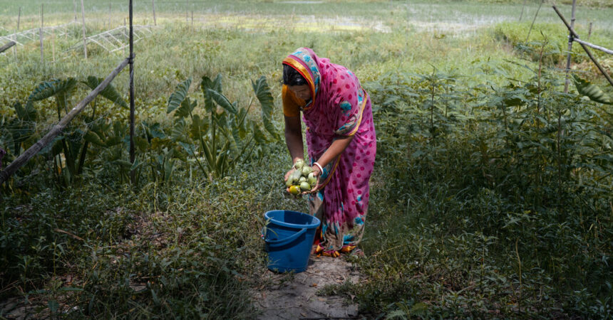 Bangladesh Offers a Glimpse of the Water Crises of Tomorrow