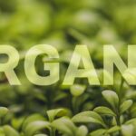 Benefits of Going Organic