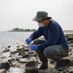 For These Bird Flu Researchers, Work Is a Day at the Very ‘Icky’ Beach