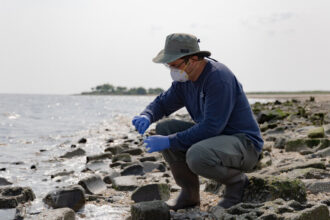 For These Bird Flu Researchers, Work Is a Day at the Very ‘Icky’ Beach