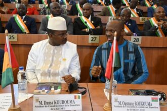 GUINEA : Interim assembly leader Dansa Kourouma in Paris to meet French lawmakers