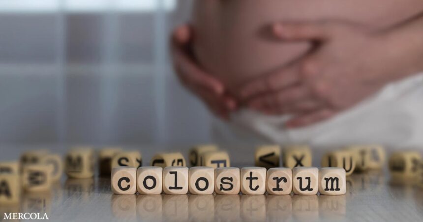 How Colostrum Can Benefit Your Immune Health