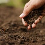 How to Support Long-Term Fertility of Your Soil