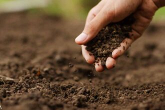 How to Support Long-Term Fertility of Your Soil