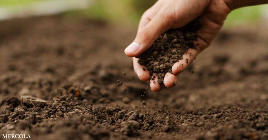 How to Support Long-Term Fertility of Your Soil