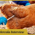 Maryn McKenna - How Antibiotics Created the Chicken Industry