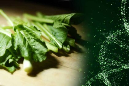 Meet Your New Gene-Edited Salad