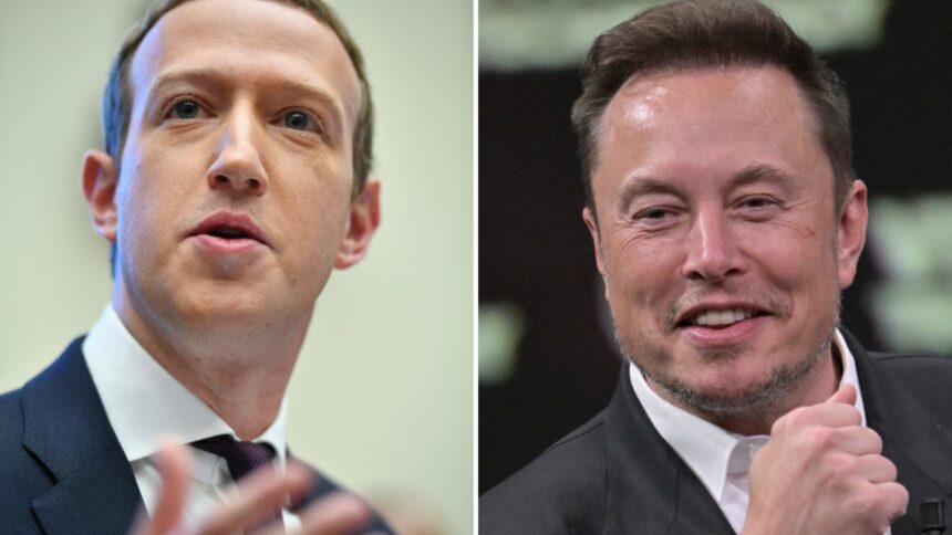 Musk picks Vegas for Zuckerberg 'cage match' challenge